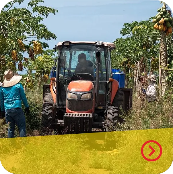 Image with link to agriculture industry.